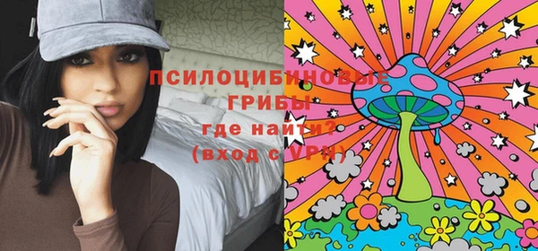 ГАЛЛЮЦИНОГЕННЫЕ ГРИБЫ Пролетарск
