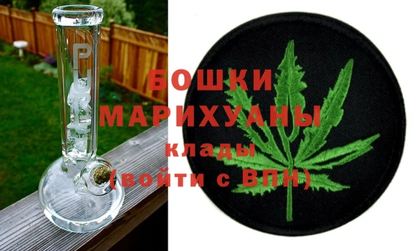 индика Заволжье